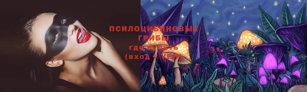 тгк Арсеньев