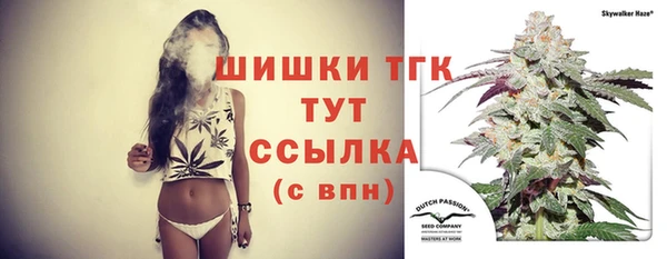 тгк Арсеньев