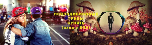 эйфоретик Аркадак