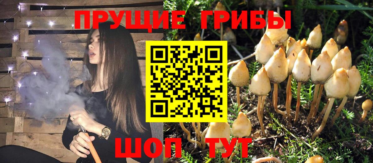 Галлюциногенные грибы мухоморы  Вход с VPN  Псилоцибиновые грибы Cubensis  Узловая 